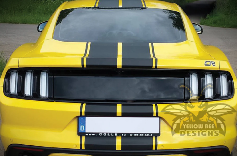 Double Rally Stripes Decals Graphics Vinyl Decals Compatible with Ford Mustang - Image 5